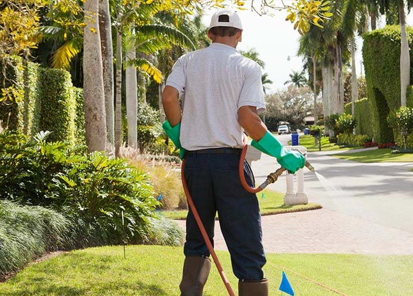 About Barkhamsted CT Pest Control